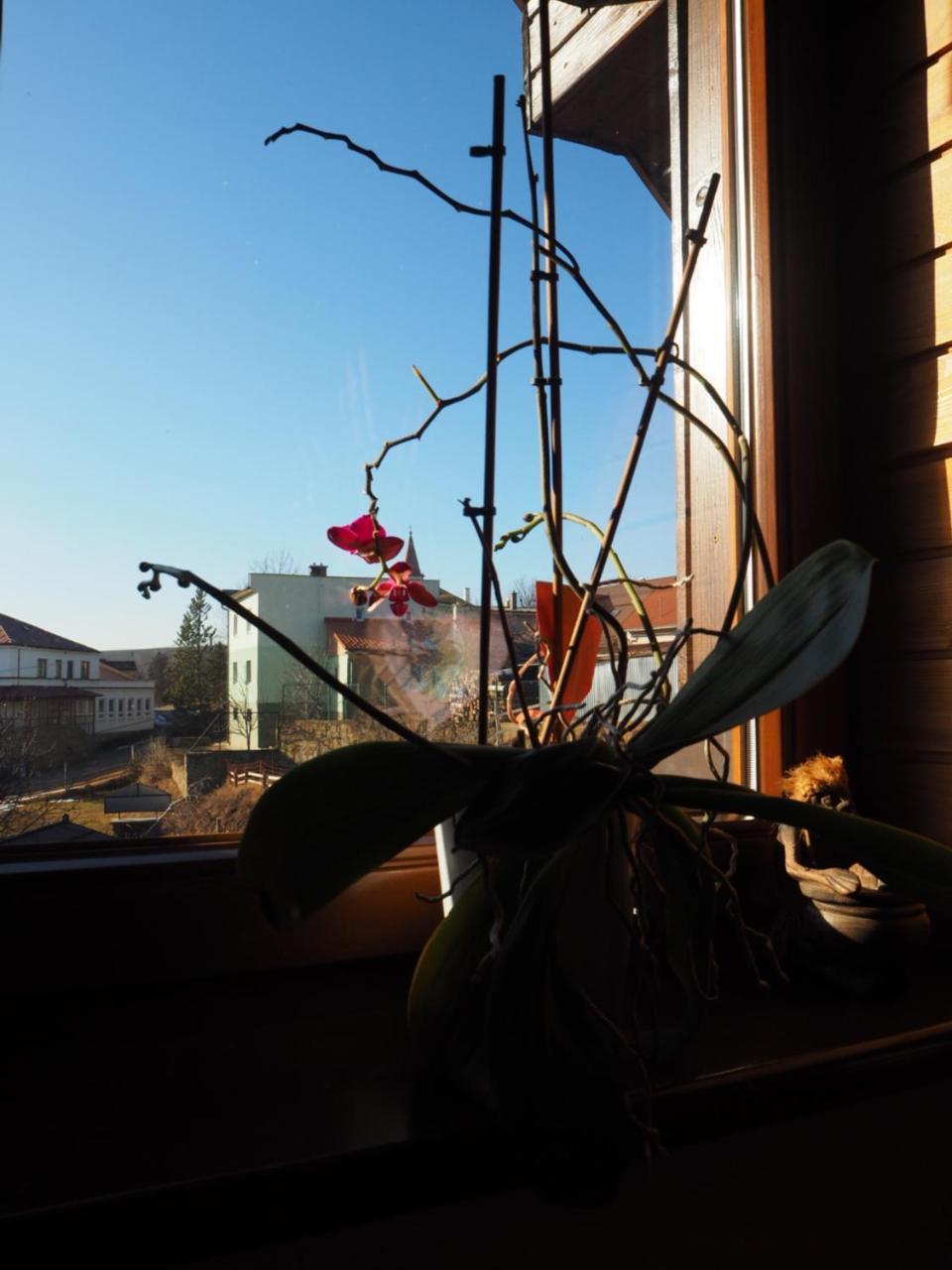 Privat Migac Appartement Vrbov Buitenkant foto